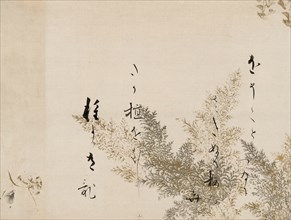 A Poem from the Shin Kokinshu with Design of Shinobugusa (Moss Fern), 1605-10.