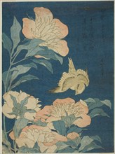 Canary and Peony (Kanaari, shakuyaku), from an untitled series of flowers and birds, Japan, c. 1834.