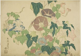 Morning Glories and Tree-frog, from an untitled series of Large Flowers, Japan, c. 1833/34.
