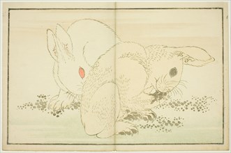 Two Rabbits, from The Picture Book of Realistic Paintings of Hokusai (Hokusai shashin gafu), Japan, c. 1814.