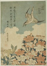 Cuckoo and Azaleas (Hototogisu, satsuki), Japan, c. 1834.