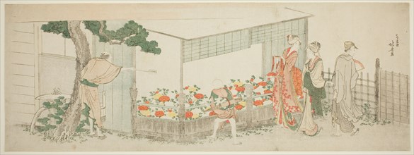 The Peony Show, Japan, c. 1799.
