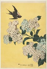 Hydrangea and Swallow, from an untitled series of large flowers, Japan, c. 1833/34.