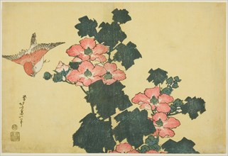 Cotton Roses and Sparrow, from an untitled series of Large Flowers, Japan, c. 1833/34.