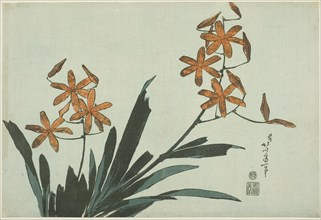 Orange Orchids, from an untitled series of flowers, Japan, c. 1832.