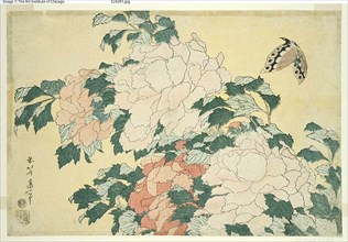 Peonies and Butterfly, from an untitled series of large flowers, Japan, c. 1833/34.