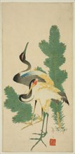 Pine and cranes, Japan, c. 1830/44.