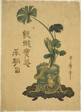 An Arrangement of Shuro Palm Leaves in a Bronze Jar, Japan, c. 1796.