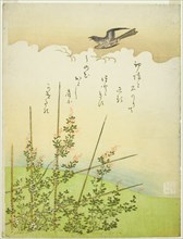 Cuckoo flying over deutzia flowers, Japan, c. 1766.