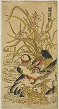 Mandarin Ducks, from the series "Kashinsai", c. 1725/27.