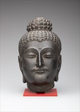 Head of Buddha, Kushan period, 2nd/3rd century. Ancient region of Gandhara (modern Pakistan).
