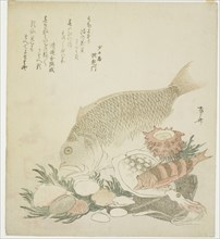 Fish and shells, 1821.