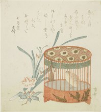 Bird cage and flowers, early 19th century.