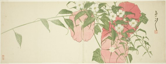 Flowers, early 19th century.