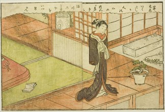 Double-page Illustration from Vol. 2 of "Picture Book of Spring Brocades (Ehon haru no nishiki)", 1771.