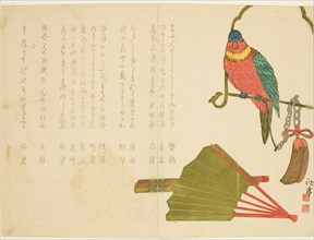 Parrot and Fans, 19th century.