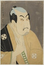 The actor Tanimura Torazo as Washizuka Hachiheiji, 1794.