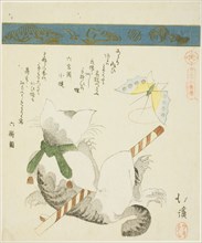Cat Playing with a Toy Butterfly, from the series "Thirty-six Pictures of Birds (Sanjuroku kinzoku)", 1828.