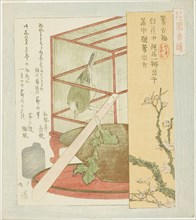 Warbler in a cage, from the series "A Series for the Hanazono Group (Hanazono bantsuzuki)", 1823.