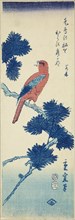 Bird on pine tree, 1857.