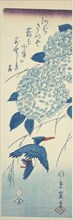 Kingfisher and hydrangea, 1857.