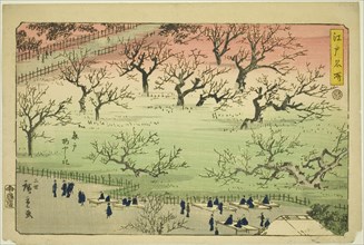 Plum Garden at Kameido (Kameido Umeyashiki), from the series "Famous Places in Edo (Edo meisho)", 1859.