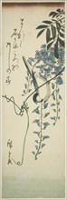 Bird and wisteria, n.d.