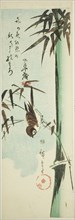 Sparrow and bamboo, c. 1843/47.
