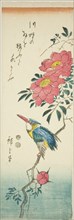 Kingfisher and roses, c. 1847/52.