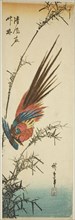 Copper pheasant and bamboo, 1840s.