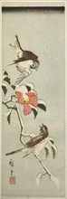 Sparrows and camellia in snow, 1840s.
