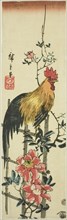 Rooster perched on rose trellis, 1854.