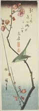 Bush warbler on plum branch, c. 1843/47.