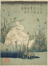 White herons and iris, c. 1830s.