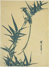 Long-tailed bird and bamboo, n.d.