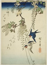 Swallow, yellow bird, and wisteria, 1830s-1840s.