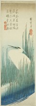 White heron and rushes, 1830s.
