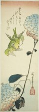 Green birds and hydrangeas, 1830s.