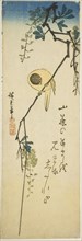 Bird on silky wisteria, 1830s-1840s.