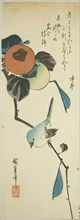 Japanese white-eye and persimmons, 1830s.