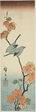 Japanese white-eyes on a maple branch, 1854.