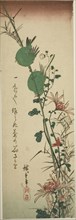 Japanese White-eyes and Chrysanthemums, c. 1830/44.