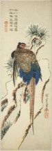 Pheasant on a Snow-Covered Pine Tree, mid-1830s.