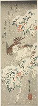 Sparrows Flitting about Snow-covered Nandina as More Snow Falls, c. 1840.