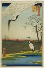Minowa, Kanasugi, Mikawashima, from the series "One Hundred Famous Views of Edo (Meisho Edo hyakkei)”, 1857.