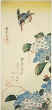 Kingfisher and hydrangea, 1830s.