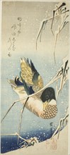 A Wild Duck Swimming by a Snow-covered Bank beneath Snow-laden Reeds, 1830s.