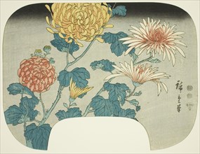 Chrysanthemums, c. 1840s.