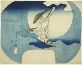 A Cuckoo against the Moon, c. 1843/46.
