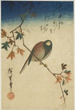 Bird on maple branch, 1830s-1840s.